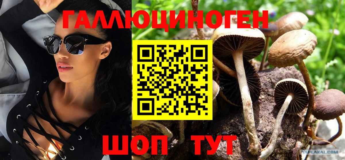 Галлюциногенные грибы Psilocybine cubensis  Псилоцибиновые грибы Psilocybe  Вход с VPN  Кисловодск 